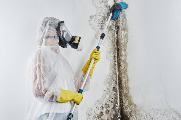 Water Damage Restoration in Harrisburg, SD