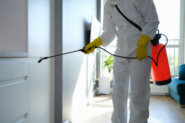 Mold Removal and Inspection in Harrisburg, SD